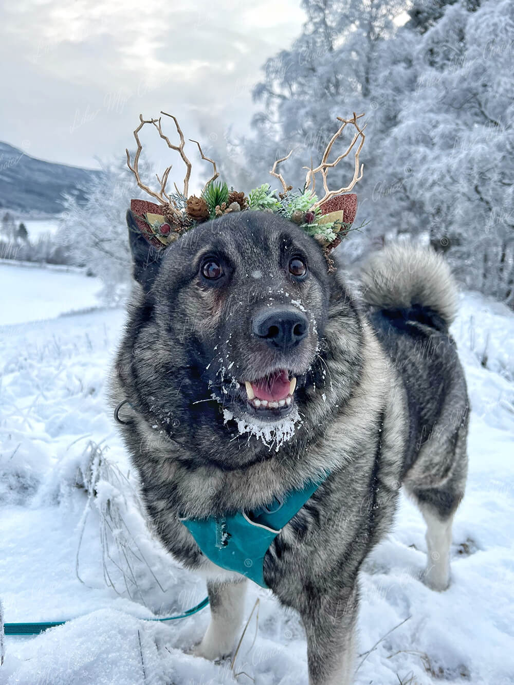 Pink Forest Christmas Reindeer Headband | LikeMyChoice